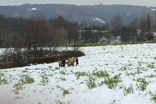 Mężczyzna przygnieciony przez drzewo