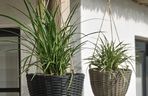 Donice na taras i na balkon - JYSK