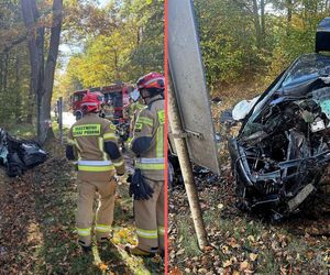 Audi rozerwane na strzępy. Tragiczny wypadek na Dolnym Śląsku 