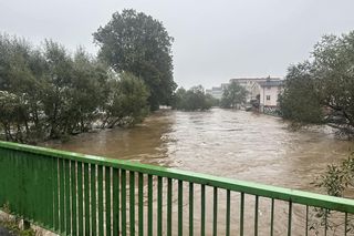 Zalana Jelenia Góra