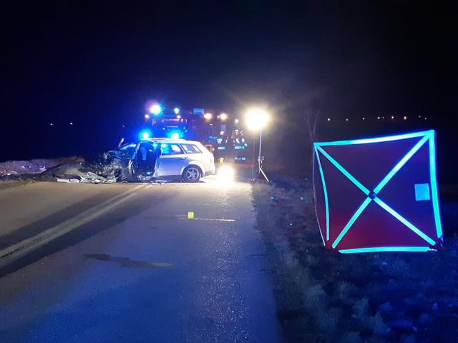 Koszmarny wypadek koło Żnina. Nie żyje kierowca audi