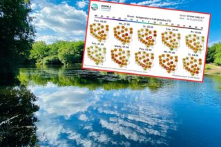 Kiedy przyjdą upały do Polski? Pierwsza fala tropikalnego powietrza nadchodzi. Będzie ponad 30 st. C