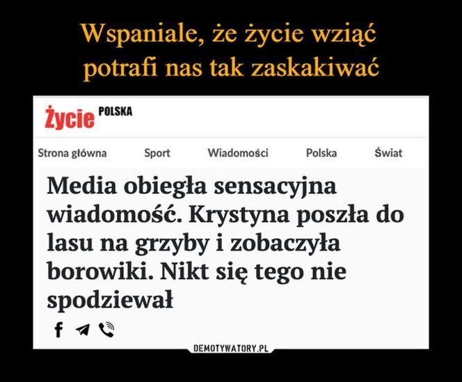 Nóż się w kieszeni otwiera i Janusz i szykuje się na grzyby! MEMY o grzybobraniu [GALERIA]