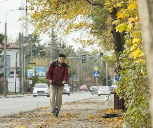 Korwin został gosposiem