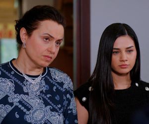 Miłość i nadzieja odc. 282. Cavidan, Bahar