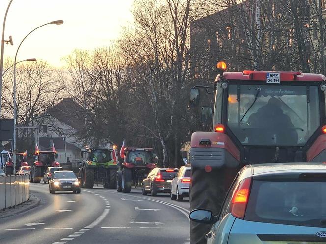 Chodźcie wszyscy protestować z nami