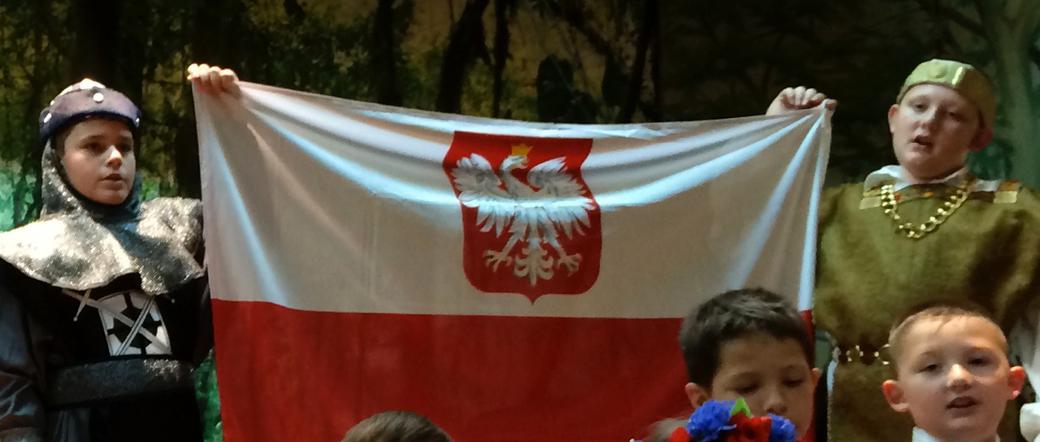 polonia, greenpoinit