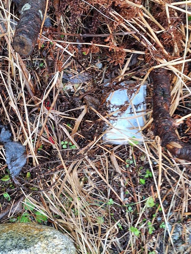 Morskie Oko zaśmiecone jak nigdy. To sprawka turystów. TPN opublikował zdjęcia.