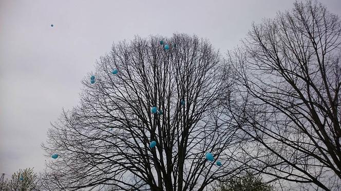 Sosnowiec: Niebieski piknik w Parku Polisensorycznym