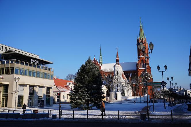 Choinka stanęła w centrum Białegostoku. 12-metrowa atrakcja gotowa na Boże Narodzenie