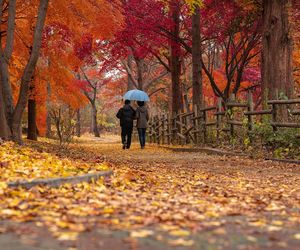 Temperatura w dzień was zaskoczy. Synoptycy przestrzegają jednak przed tym [Prognoza IMGW na 18.10.2024] 