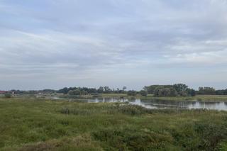 Rzeka Odra w Cigacicach