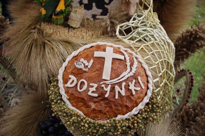 Dożynki w Gdańsku po raz drugi! Czym zaskoczy nas w tym roku Święto Kapusty? 