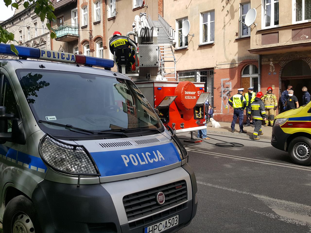 Potrącony pieszy i prawie sto wykroczeń w Grudziądzu. Policjanci wzięli się za piratów drogowych