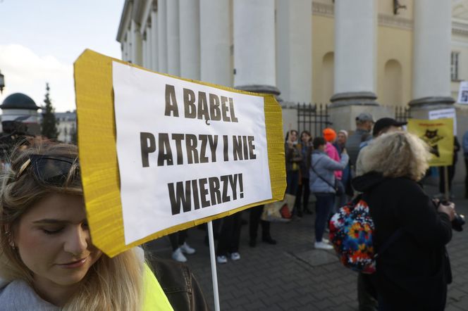 Wielki protest przez ratuszem. Wolontariusze walczą o życie kotów