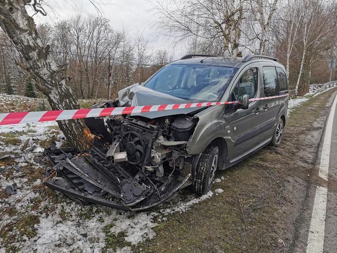 Kraksa pod Tarnowem. Wypadł z jezdni i rozbił peugeota o przydrożne drzewo