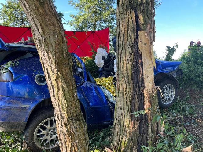 Tragedia pod Oleśnicą. Dwóch młodych mężczyzn zginęło w wypadku. Jechali za szybko