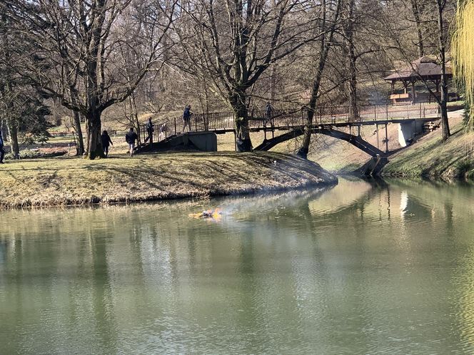 Lublinianie pożegnali zimę i powitali wiosnę! W Ogrodzie Botanicznym odbyło się topienie Śmiercichy