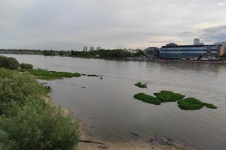 Fala wezbraniowa zalała plażę nad Wisłą