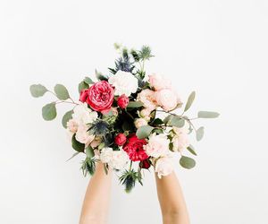 Dzień Teściowej 2025. Wyjątkowe życzenia i śmieszne wierszyki dla teściowej [5.03.2025]