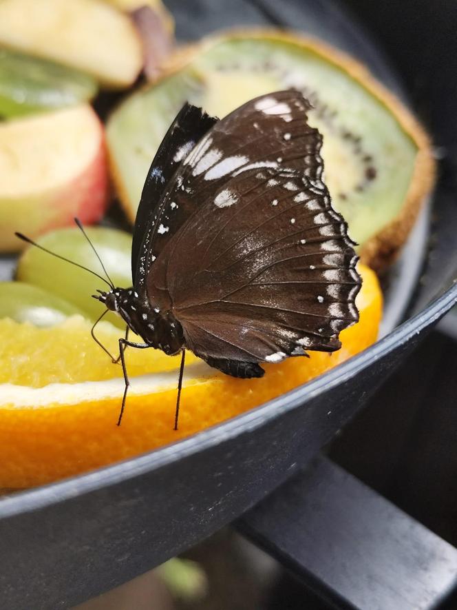 Światowy Dzień Fotografii. Z tych fotek są dumni nasi Czytelnicy! ZOBACZ