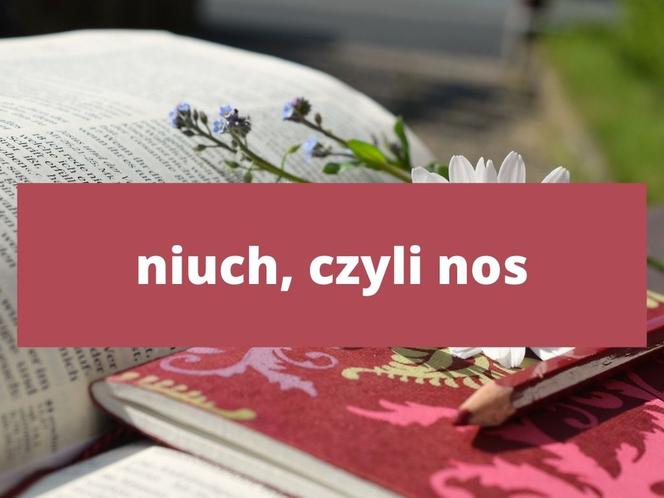 Te słowa tylko na Podkarpaciu! Znasz znaczenie tych słów? 