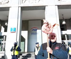  Protest górników pod siedzibą PGE w Warszawie. Przyszli ze świńskimi łbami