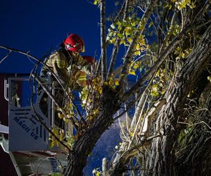 Polska pod naporem wichur! Strażacy nie mieli chwili wytchnienia