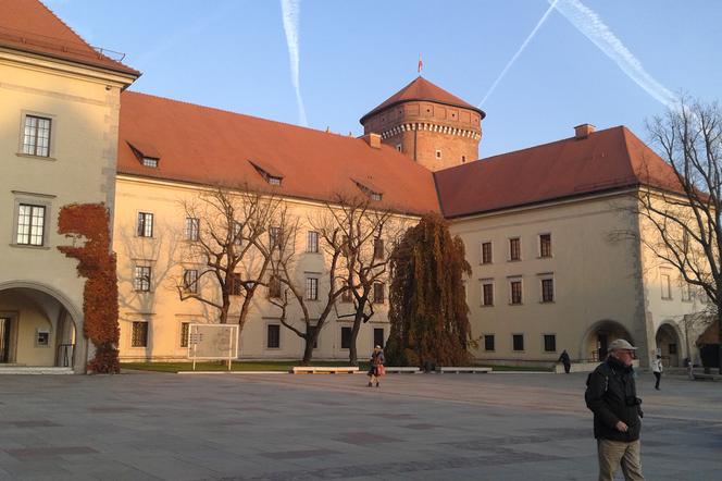 Wawel za darmo już po raz czwarty! [AUDIO, WIDEO]