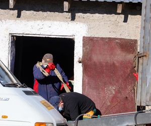 Potworny los zwierząt w Idzbarku. To była umieralnia. Gospodarz usłyszał zarzuty!