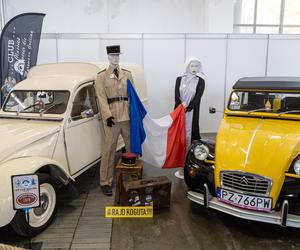  Czerwone ferrari warte 2,5 miliona euro w Poznaniu.