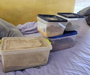 Szarlatan z Pruszkowa żerował na chorych. Leczył na wszystko, a leki robił w słoiku!