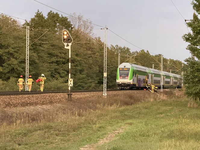 Warszawa Wesoła. Pociąg śmiertelnie potrącił kobietę