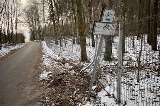 Kacper po wszystkim uciekł do lasu. Udawał, że robi pompki