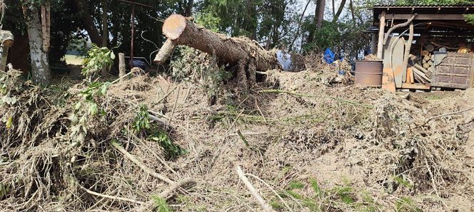 Wychowankowie poprawczaka w Raciborzu pomagają usuwać skutki powodzi. Są chętni do pomocy