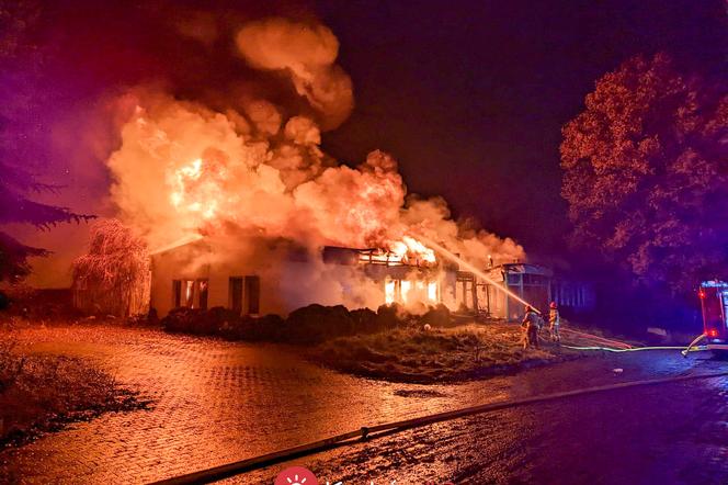 Kraków. Pożar przy ul. Zawiłej