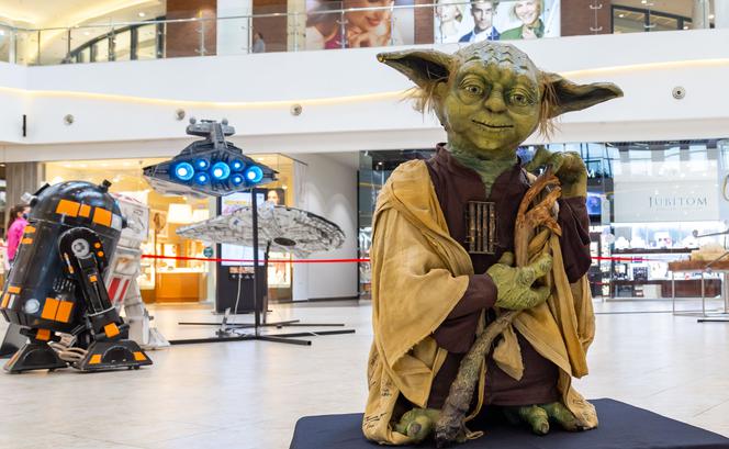 Gwiezdna Flota w Magnolia Park