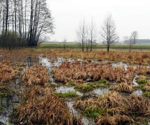 Park Krajobrazowy Wzniesień Łódzkich