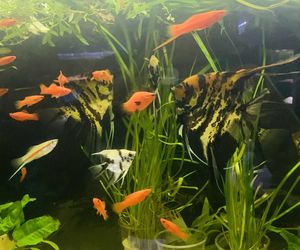 Rozmawiamy z Tomaszem Wiśniewskim, założycielem Aqua Dreams Bydgoszcz