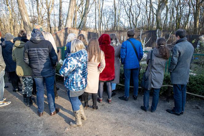 Posłanki i posłowie z wizytą w Zoo