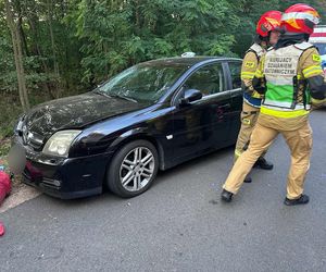 Grobla. Nietrzeźwy 54-latek wjechał w pielgrzymów. 10 osób rannych [ZDJĘCIA]. 