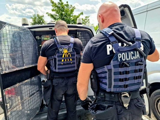 Zabił kobietę, wyprowadzał jej psa