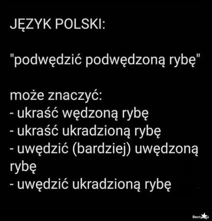 Tak się śmieją z Polski i Polaków! TOP 40 najśmieszniejszych memów