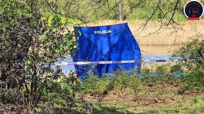 Makabryczne odkrycie w Warszawie: ciało w stawie przy pętli tramwajowej