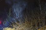 Tragedia na terenie ogródków działkowych. Altanka stanęła w ogniu. W srodku znaleźli zwęglone ciało
