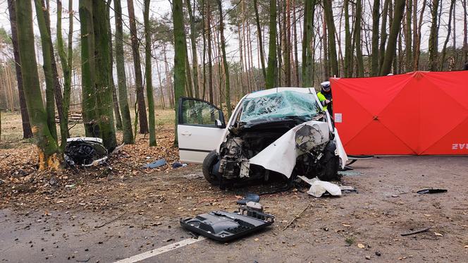 Tragiczny wypadek pod Jarocinem! Nie żyje 29-letni kierowca, a jego żona trafił do szpitala [ZDJĘCIA]