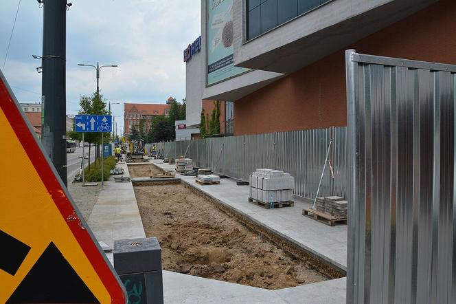 Nowe nasadzenia drzew w centrum Olsztyna