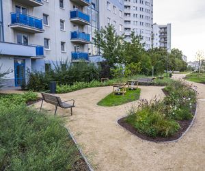 Największy park w Polsce