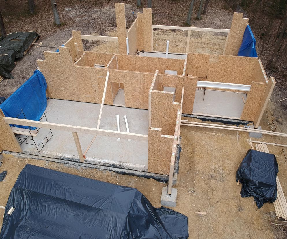 Jaki dom z drewna wybrać? Porównujemy 10 technologii budowy i rozwiewamy wątpliwości