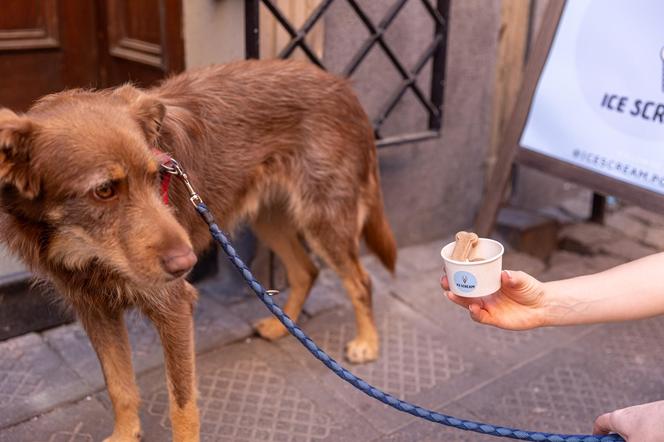 Kejtry z Poznania mają swoje lody